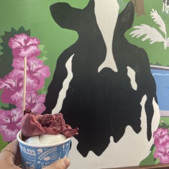 Ben & Jerry’s - Lemonade and berry ice cream - Custom Cakes Near Me - Savannah, Georgia