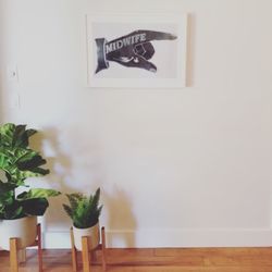 Ashi Integrative Health - Midwives at Ashi Integrative Health