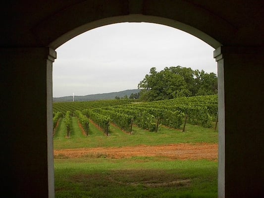 Barboursville Vineyards by null