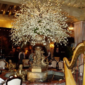 The Drake - Afternoon tea room - Hotels Near Me - Chicago, Illinois The Drake - Afternoon tea room - Hotels Near Me - Chicago, Illinois