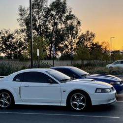 Avis - Oxnard