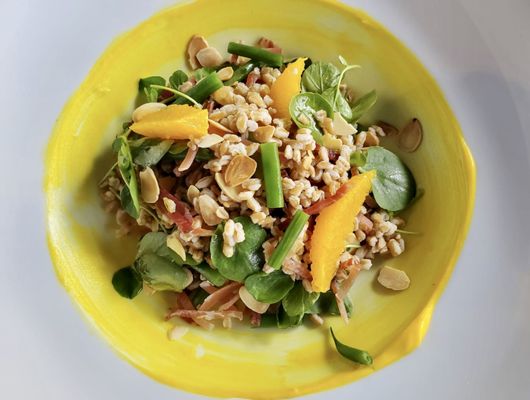 Zucca by null
