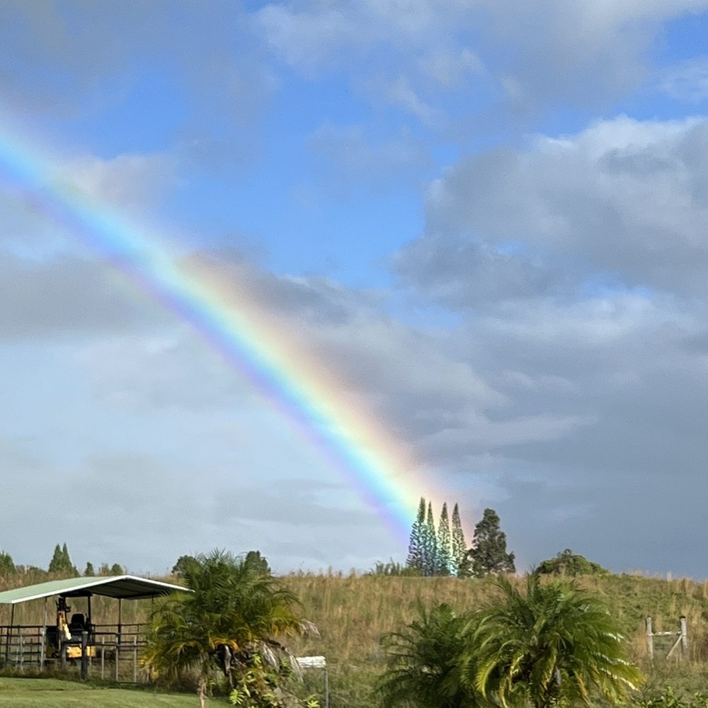 RE/MAX Properties - Hilo Rainbows - Real Estate Agents Near Me - Hilo, Hawaii RE/MAX Properties - Hilo Rainbows - Real Estate Agents Near Me - Hilo, Hawaii