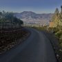 Photo of Diamond Mountain Vineyard