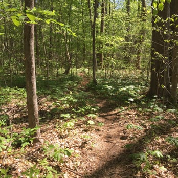 Crow's Nest Natural Area Preserve - Trail - Parks Near Me - Stafford, Virginia Crow's Nest Natural Area Preserve - Trail - Parks Near Me - Stafford, Virginia