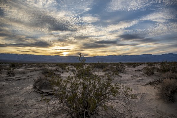 Stovepipe Wells Campground by null