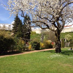 Parc Archéologique de Fourvière