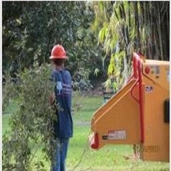 Windsor & Son Tree Care Services - Tree Services Near Me - Sorrento, Florida Windsor & Son Tree Care Services - Tree Services Near Me - Sorrento, Florida
