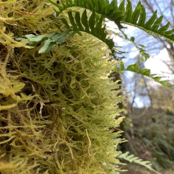 Oral Hull Foundation For the Blind - Shrubberies - Community Service/Non-Profit Near Me - Sandy, Oregon Oral Hull Foundation For the Blind - Shrubberies - Community Service/Non-Profit Near Me - Sandy, Oregon