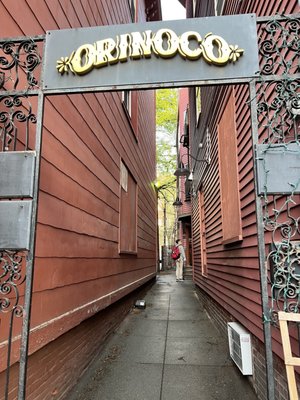 Orinoco Harvard Square by null