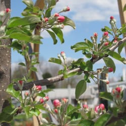 Ole Timey Nursery