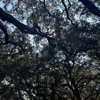 Battery - Parks Near Me - Charleston, South Carolina