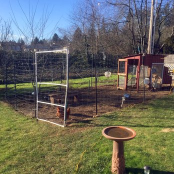 The Low Vision Store - definitely visit Ken's backyard and say hi to all his chickens. - Electronics Near Me - Vancouver, Washington
