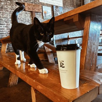 Herencia Coffee - The Monica - Coffee & Tea Near Me - Dumas, Texas
