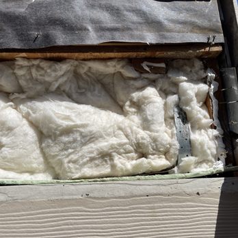 Raul The Bees Guy - Insulation that was used to fill up the space to preserve the spray and keep any new critters from nesting there. - Pest Control Near Me Raul The Bees Guy - Insulation that was used to fill up the space to preserve the spray and keep any new critters from nesting there. - Pest Control Near Me