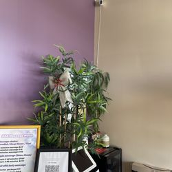 224 Couple Massage - Lobby