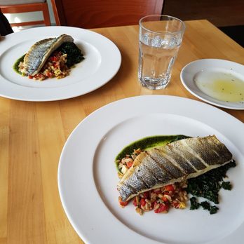 Paese - Branzino - yummy - Italian Near Me - Toronto, Ontario