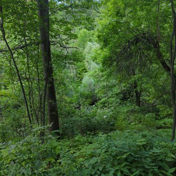 Chester Park - Toward the creek on the trail - Hiking Near Me - Duluth, Minnesota