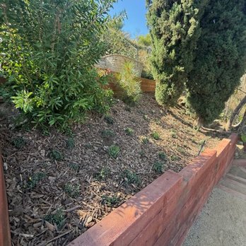 Toddco Landscaping - Landscaping Near Me - Inglewood, California Toddco Landscaping - Landscaping Near Me - Inglewood, California
