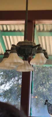 Rise & Shine by null