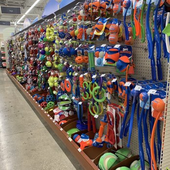 PetSmart - Pet Training Near Me - Orlando, Florida