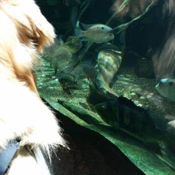 Denver Zoo - Wade with the fish - Zoos Near Me - Denver, Colorado
