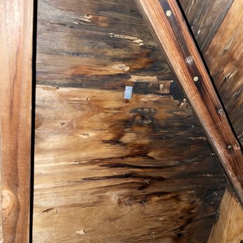 Alan’s Contracting - Air Duct Cleaning Near Me Alan’s Contracting - Air Duct Cleaning Near Me