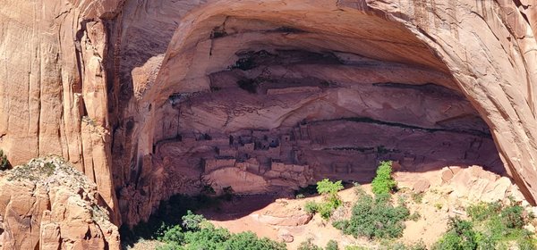 Navajo National Monument by null