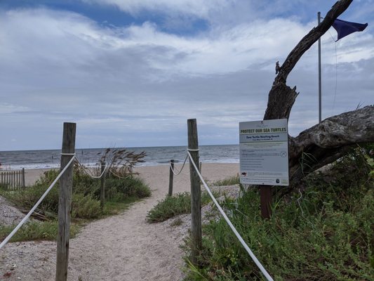 Edisto Beach State Park by null