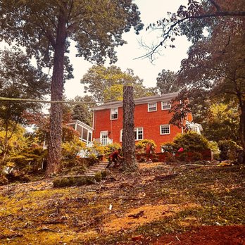 Green Brothers - Tree Services Near Me Green Brothers - Tree Services Near Me