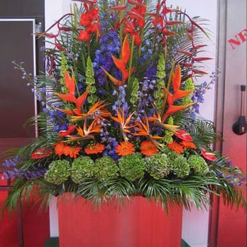 Webbs Flowers - Florists Near Me - Bristol, BST
