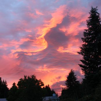 Dragons' Gate Gardens - A dragon cloud flying over DGGs. - Venues & Event Spaces Near Me - Tenino, Washington Dragons' Gate Gardens - A dragon cloud flying over DGGs. - Venues & Event Spaces Near Me - Tenino, Washington