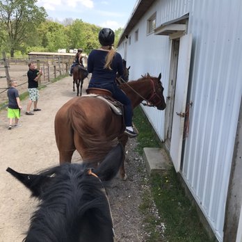 9 Acres - Waiting to dismount - Horseback Riding Near Me - Palos Hills, Illinois 9 Acres - Waiting to dismount - Horseback Riding Near Me - Palos Hills, Illinois