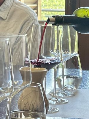 Casarena Bodega y Viñedos by null