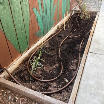 Prestige Irrigation - Dmitriy added new irrigation with emitters so we can finally start our herb garden! - Irrigation Near Me Prestige Irrigation - Dmitriy added new irrigation with emitters so we can finally start our herb garden! - Irrigation Near Me