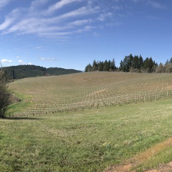 Elk Cove Vineyards - Wineries Near Me - Gaston, Oregon Elk Cove Vineyards - Wineries Near Me - Gaston, Oregon