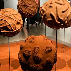 user provided New Museum of Contemporary Art photo