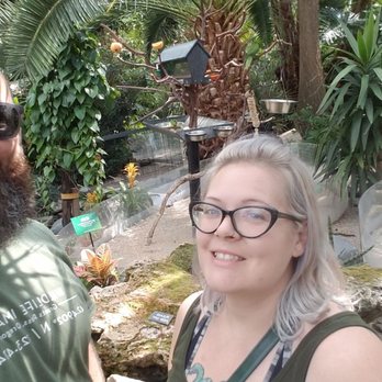 Bloedel Conservatory - Enjoying the bird action! - Botanical Gardens Near Me - Vancouver, British Columbia