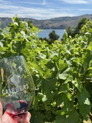 Cairdeas Winery by null