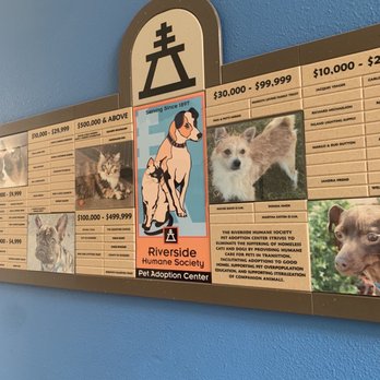 Mary S Roberts Pet Adoption Center - Riverside Humane Society - Animal Shelters Near Me - Riverside, California