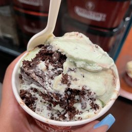Mint Chocolate Chip Ice Cream