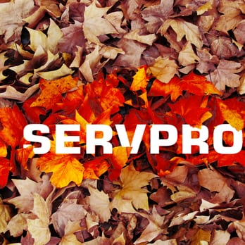 SERVPRO of Bridgewater - Damage Restoration Near Me - Bridgewater, New Jersey SERVPRO of Bridgewater - Damage Restoration Near Me - Bridgewater, New Jersey