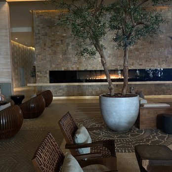 Secrets The Vine Cancun - Hotel lobby - Hotels Near Me - Cancún, ROO Secrets The Vine Cancun - Hotel lobby - Hotels Near Me - Cancún, ROO