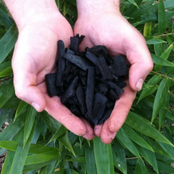 Lewis Bamboo - Bamboo biochar soil amendments. - Nurseries & Gardening Near Me - Oakman, Alabama