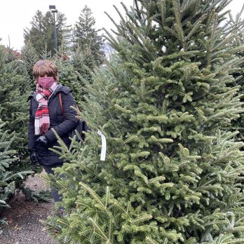 Burkholder Brother's - Oh Christmas tree - Landscaping Near Me - Malvern, Pennsylvania Burkholder Brother's - Oh Christmas tree - Landscaping Near Me - Malvern, Pennsylvania