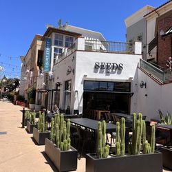 Seeds - Outside of the restaurant