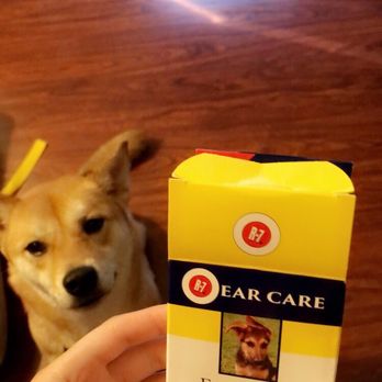 Petco - Ear drops I bought to treat my dog's ear mites - Pet Stores Near Me - Willowbrook, Illinois Petco - Ear drops I bought to treat my dog's ear mites - Pet Stores Near Me - Willowbrook, Illinois