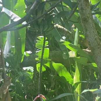 Hike Maui - Tours Near Me - Kahului, Hawaii