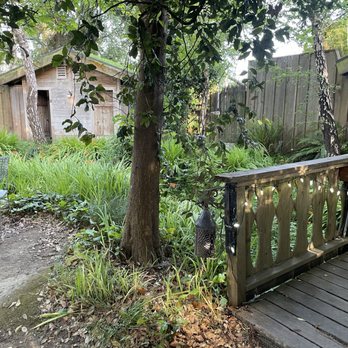 Cafe Mokka - Sitting area - Coffee & Tea Near Me - Arcata, California