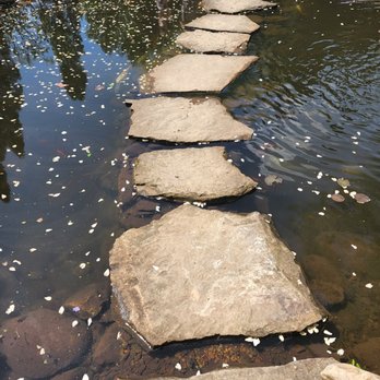 Baxter Gardens - Botanical Gardens Near Me - Knoxville, Tennessee
